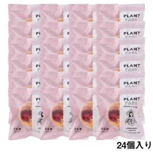 PLANT FARM Strawberry 24